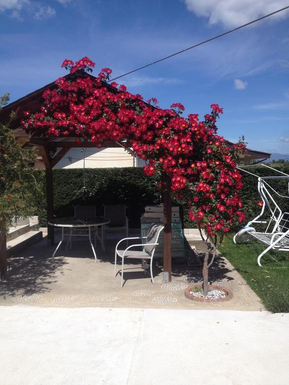 La Quercia Bed & Breakfast Cosenza Bagian luar foto